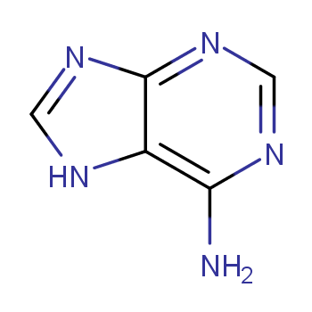 Adenine