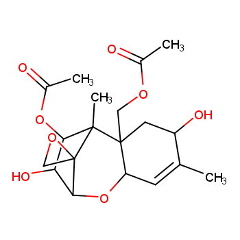 茄病镰刀菌图片