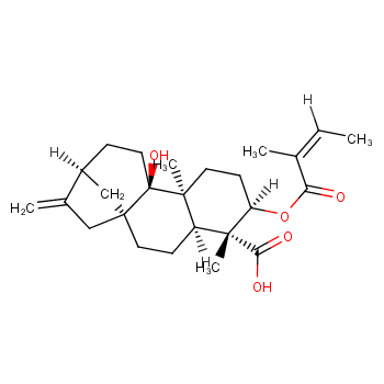 3α-Tigloyloxypterokaurene L3  