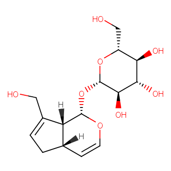 桃叶珊瑚苷杂质 4(Bartsiosid)