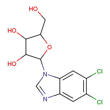 5,6-二氯-1-β-D-呋喃核糖基苯并咪唑