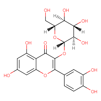 Quercetin 3-β-D-glucoside