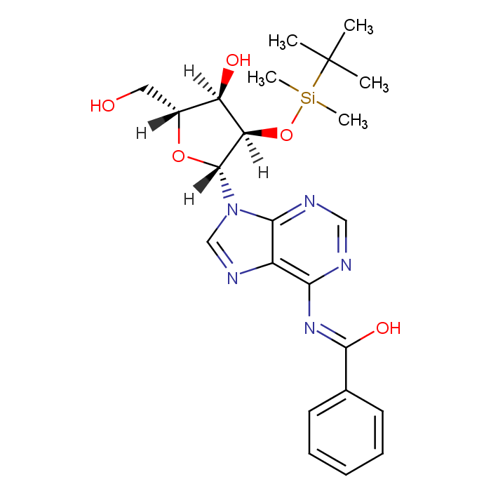 N6-苯甲酰基-2'-O-(叔丁基二甲基硅烷基)腺苷/69504-07-0