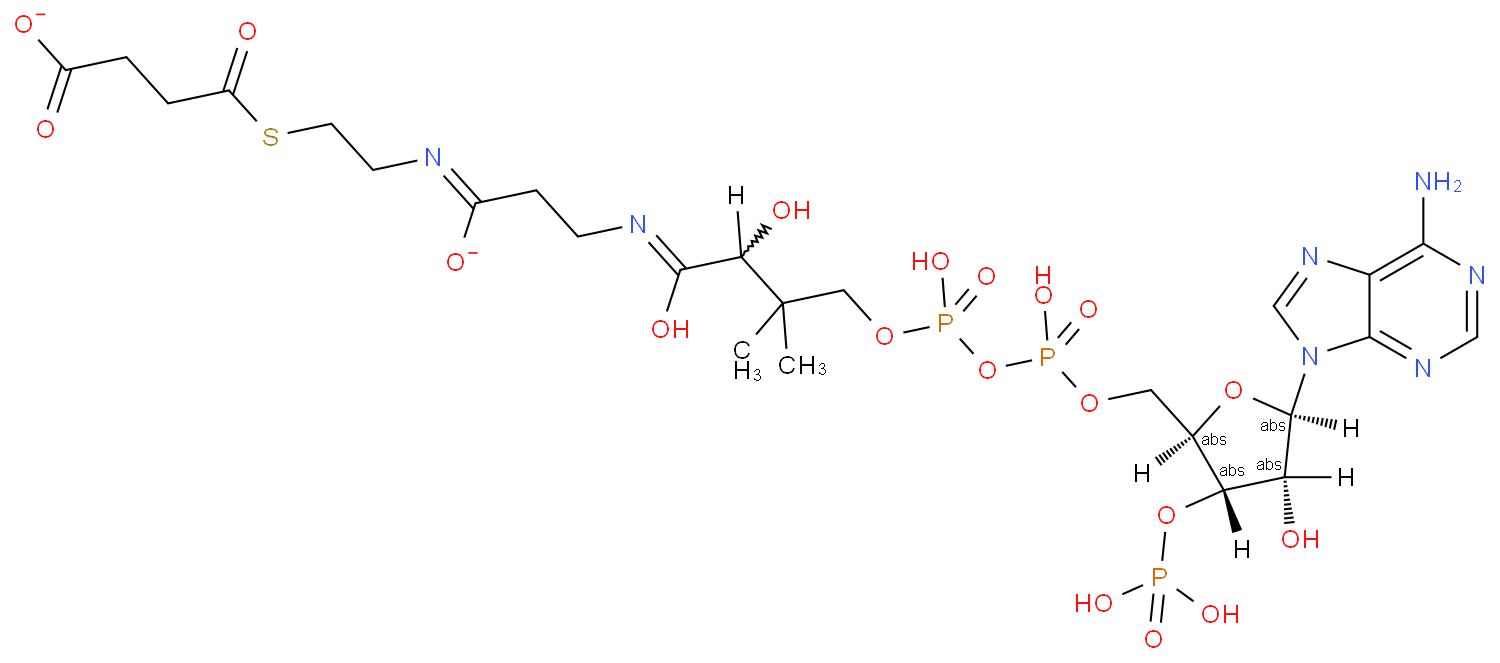 琥珀酰辅酶A图片