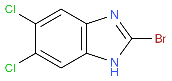 2-溴-5,6-氯-1H-苯并咪唑