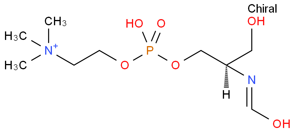 鞘磷脂