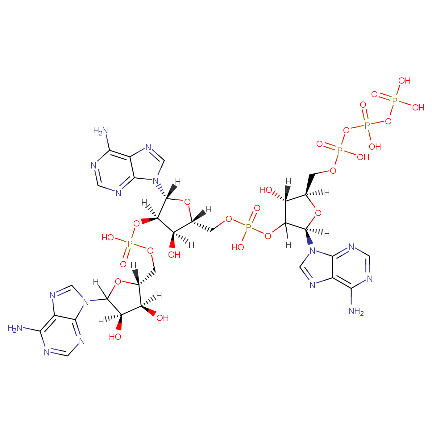 腺苷酰-(5'-2')-腺苷酰-(5'-2')-腺