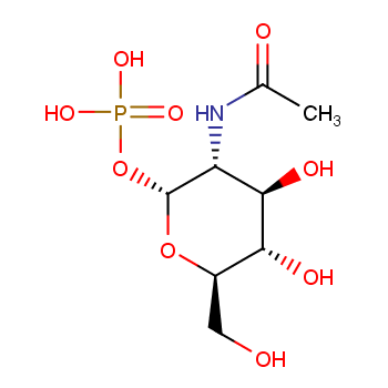 赛可锐（Shanghai SCR-Biotech Co., Ltd.）--N-乙酰基-α-D-葡糖胺-1-磷酸钠盐 现货