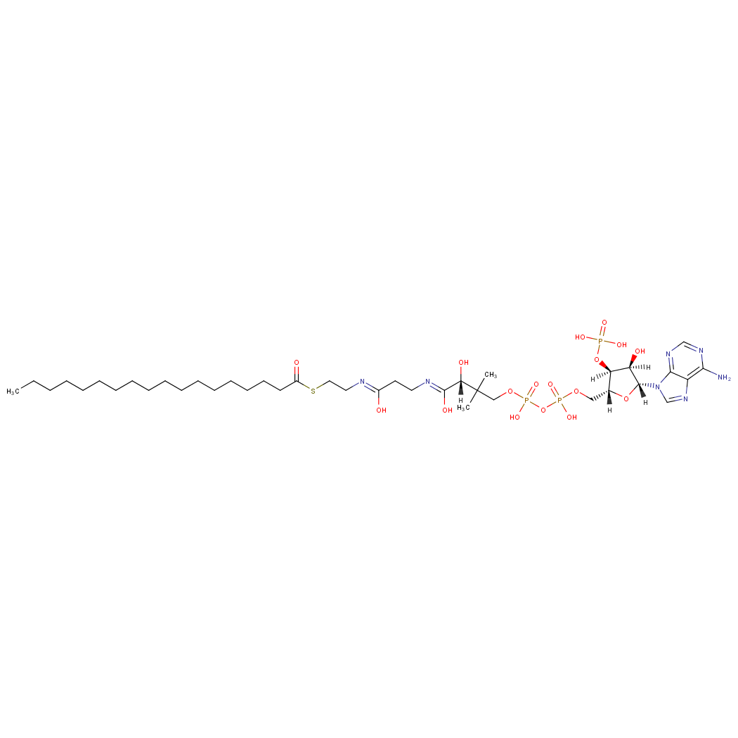 STEAROYL COENZYME A