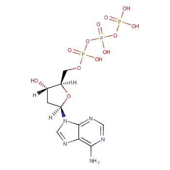 2'-DEOXYADENOSINE-5'-TRIPHOSPHATE DISODIUM SALT