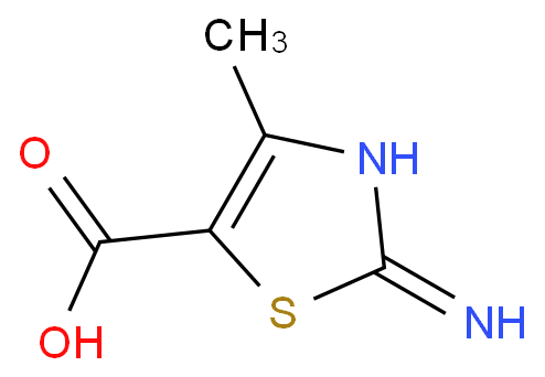 2-amino-4-methyl-1,3-thiazole-5-carboxylic acid